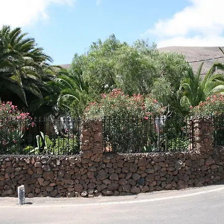 Valley Brown Twentyone